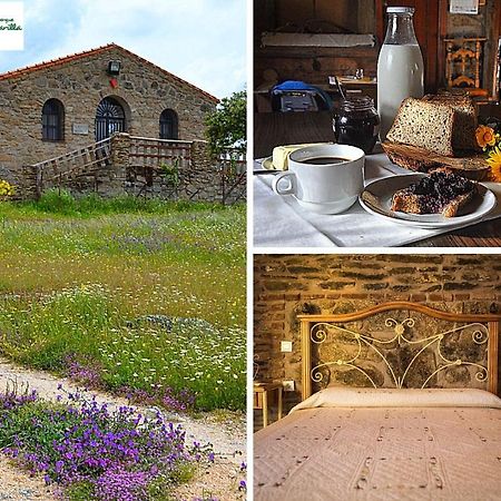 Albergue La Jarilla Plasenzuela المظهر الخارجي الصورة