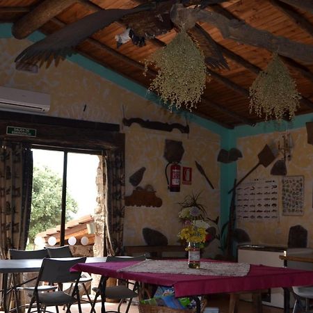 Albergue La Jarilla Plasenzuela المظهر الخارجي الصورة