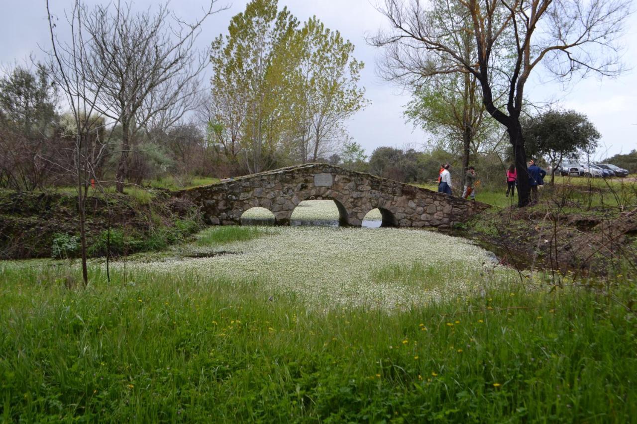 Albergue La Jarilla Plasenzuela المظهر الخارجي الصورة